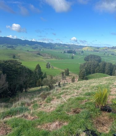 WhatsApp Image 2024-07-08 at 17.42.57_1d8a35d6